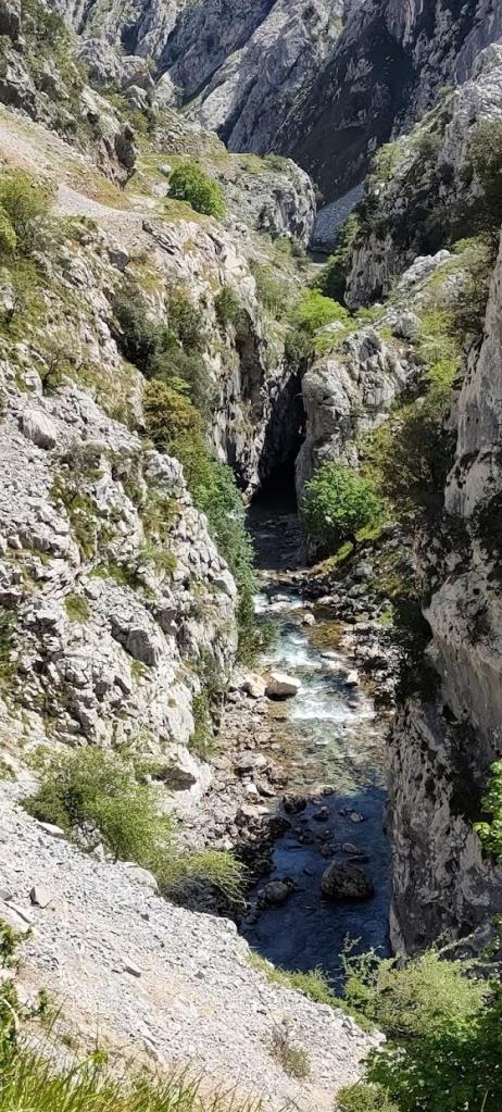 Peninsule Autour de la péninsule Ibérique 9ème semaine – Sur les traces de CanariWolf